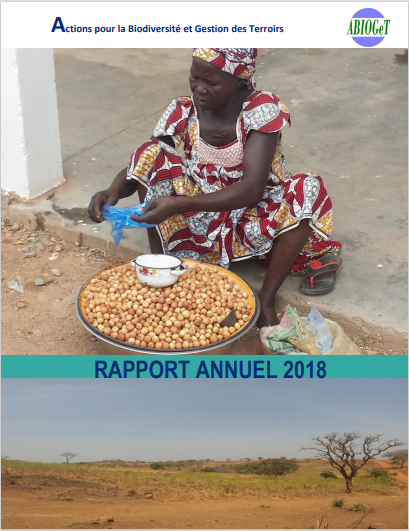 rapport-annuel-activit-s-2018.pdf